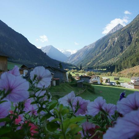Apartment Voellenklee Neustift im Stubaital Exteriér fotografie