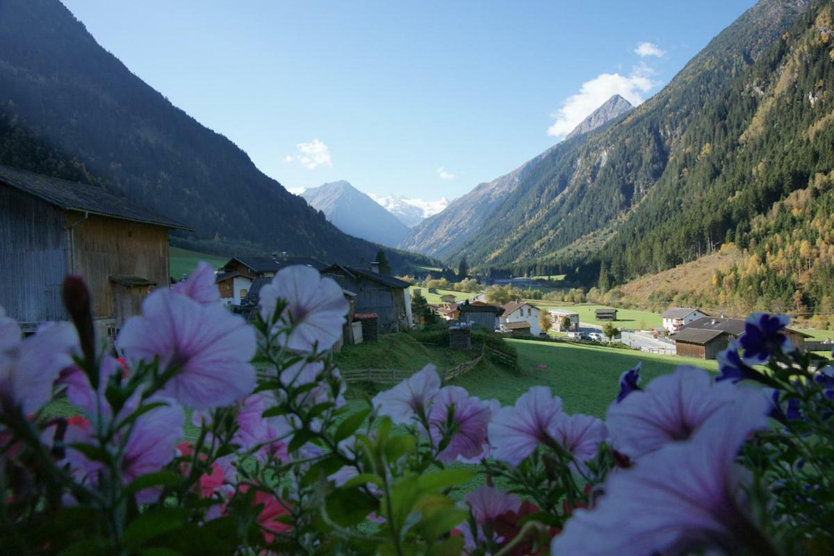 Apartment Voellenklee Neustift im Stubaital Exteriér fotografie